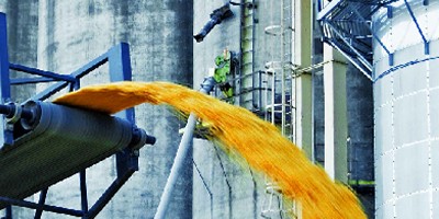 Разработка корпоративного сайта зернотрейдера