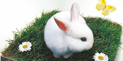 Сайт-визитка светящейся плитки "Люминосил Луна"