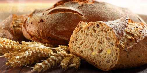 Разработка интернет-магазин хлебозавода 