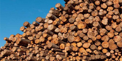 Сайт-визитка деревообрабатывающего предприятия "Ривьера"