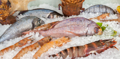 Синхронизация выгрузка товара магазина "Океан" 