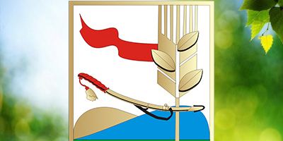 Разработка государственного сайта поселения